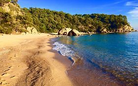 Private Apartments Cala Canyelles